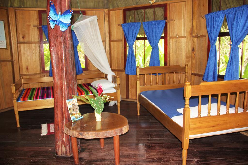 Sun Creek Lodge Punta Gorda Rum bild