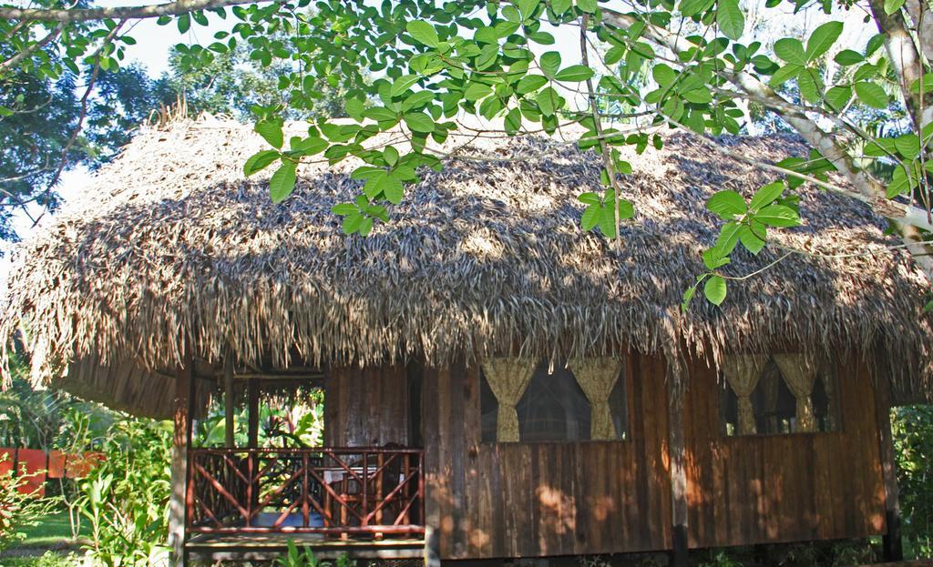 Sun Creek Lodge Punta Gorda Rum bild